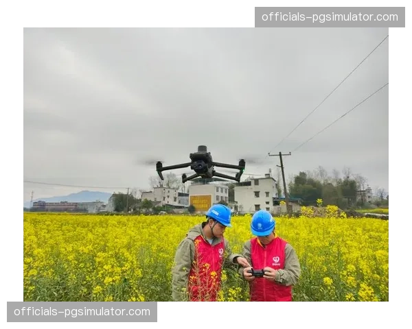 执行管控正从人工巡检 进化至无人机全域自动监测