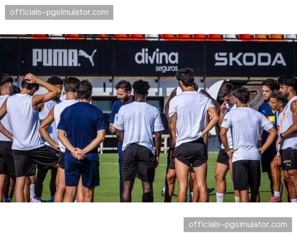 瓦伦西亚后卫科佩特踝关节扭伤长期缺阵，富尔基耶与迪亚卡比同样伤停